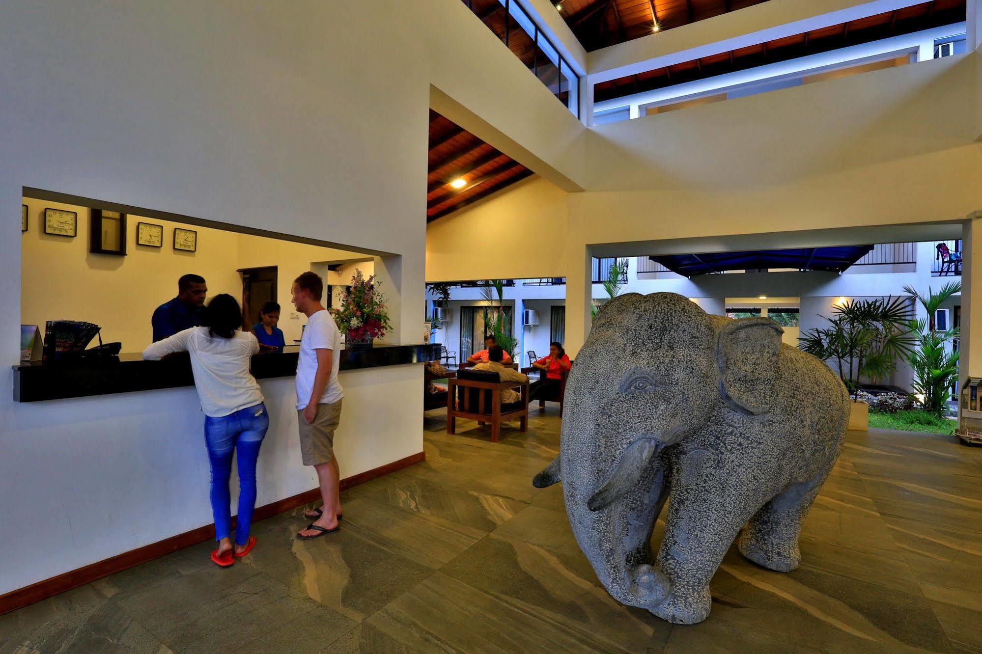The Blue Wave Hotel Arugam Bay Dış mekan fotoğraf